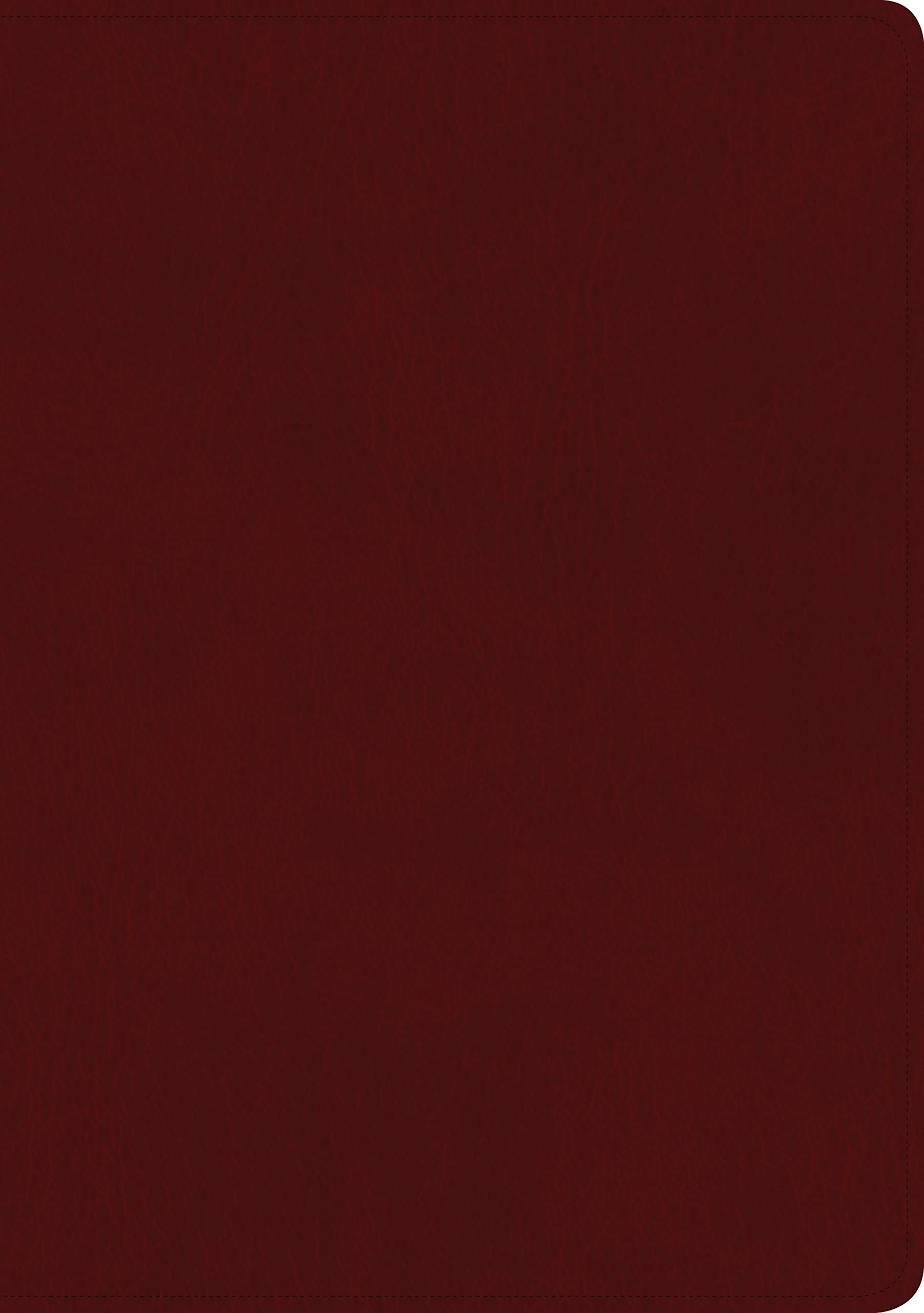 Biblia edición clásica. Letra gigante. Imitación piel. Rojizo - NTV