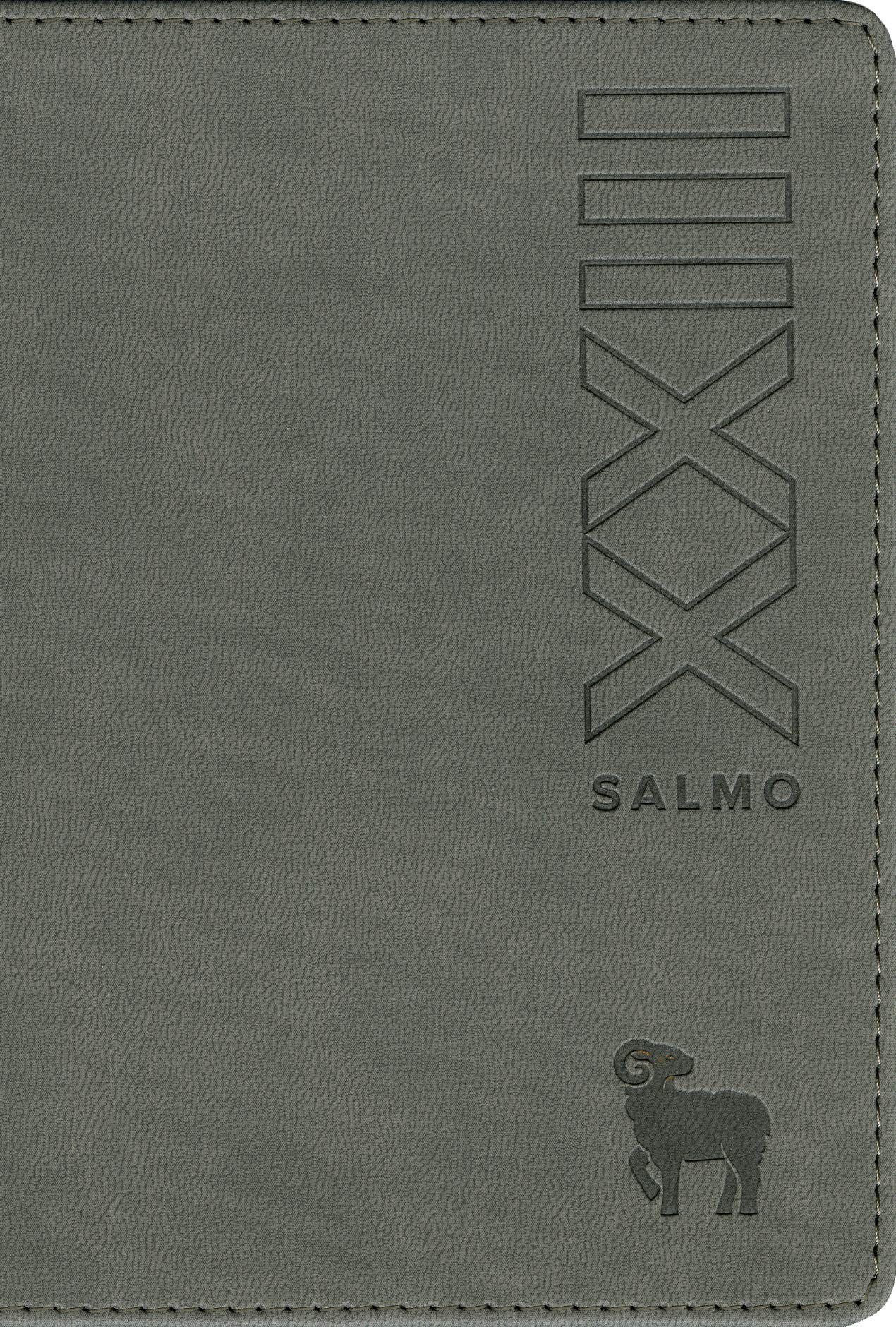 Biblia compacta. Ultrafina. 2 tonos. Gris - NTV