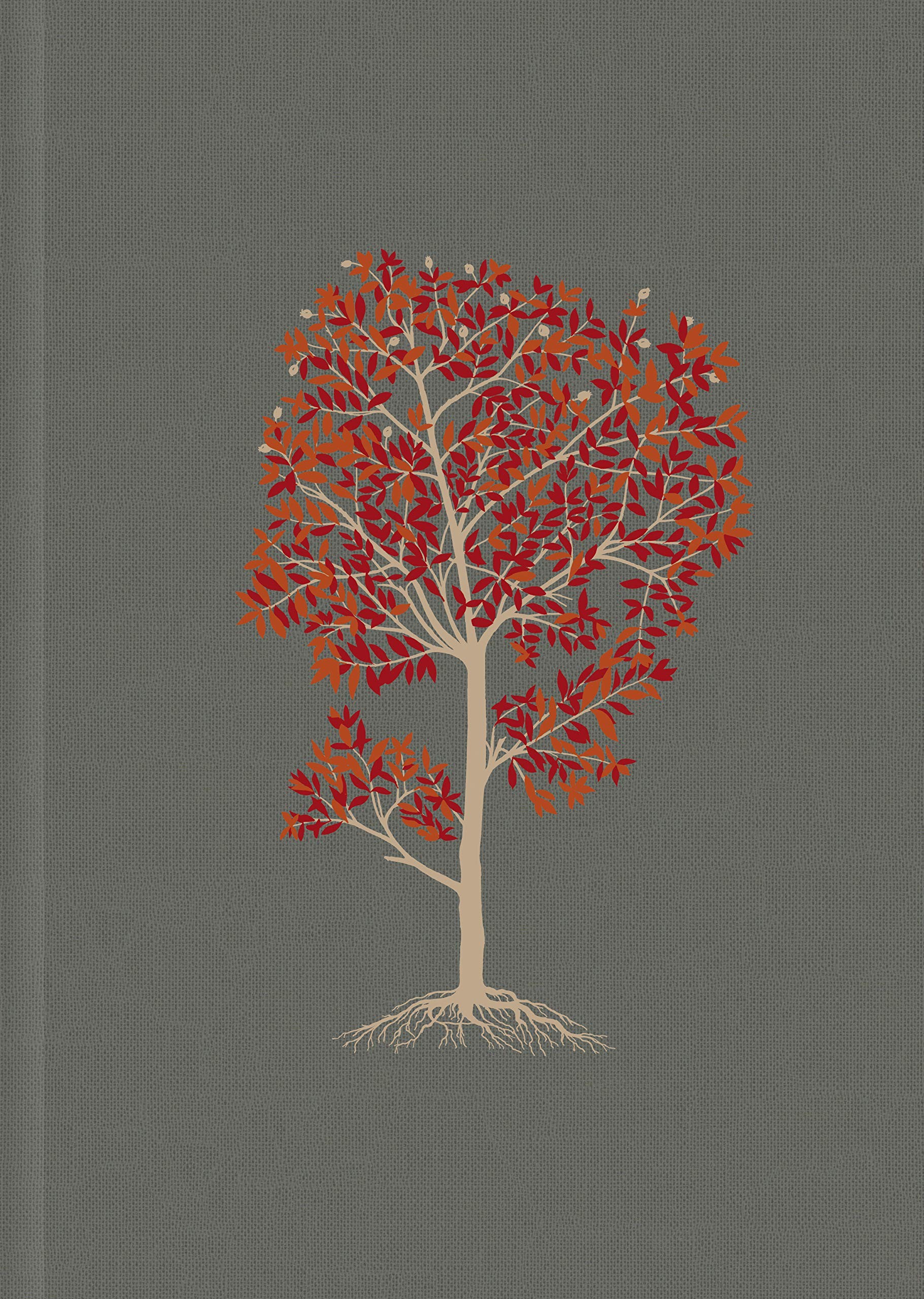 Biblia del diario vivir. Grande. Letra grande. Tapa dura entelada - NTV