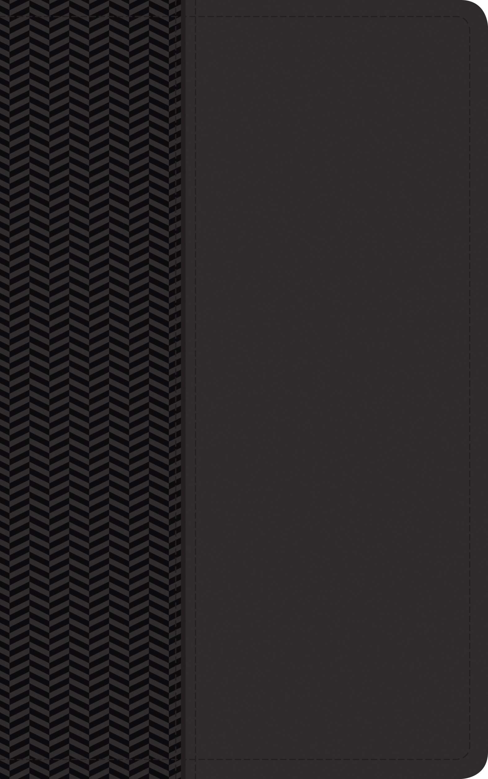 Biblia del diario vivir. Manual. 2 tonos. Negro - NTV