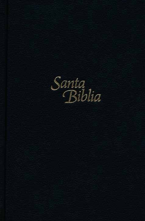 Biblia manual. Letra grande. Tapa dura. Negro - NTV