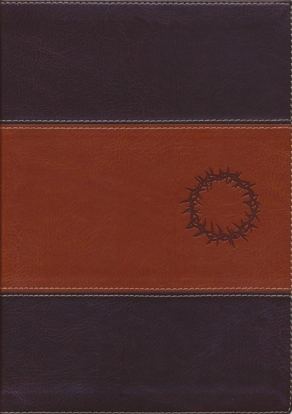 Biblia del diario vivir. Letra grande. 2 tonos. Café/café claro. Índice - NTV