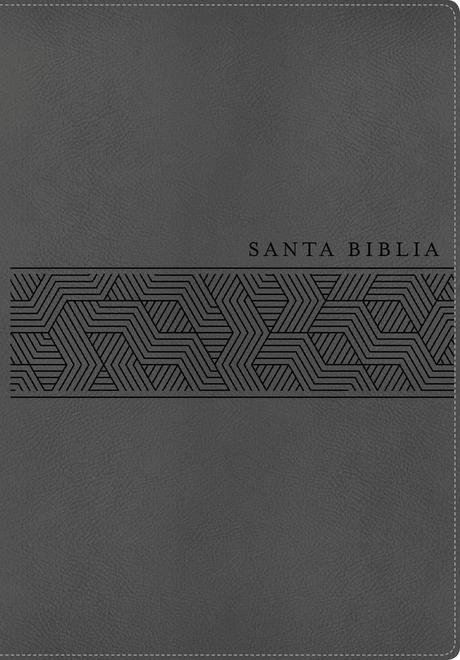 Biblia manual. Letra gigante. 2 tonos. Gris - NTV