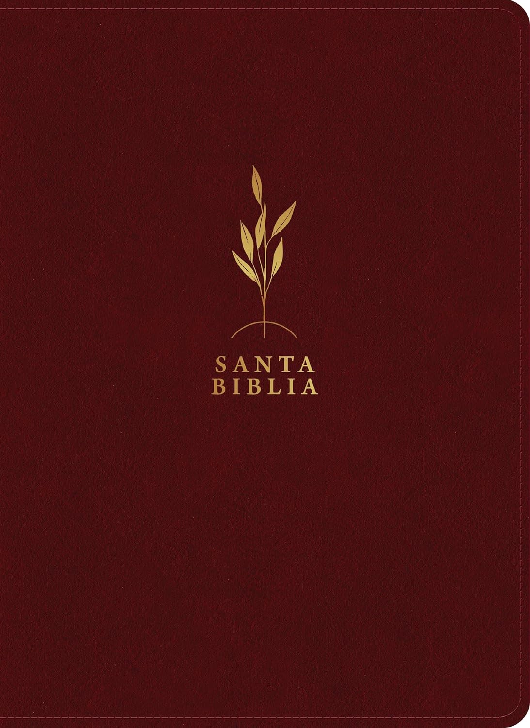 Biblia del diario vivir. Letra grande. Imitación piel. Vino tinto - RVR60