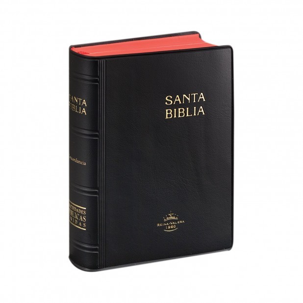 Biblia Tamaño Bolsillo - RVR60. Plástico. Negro