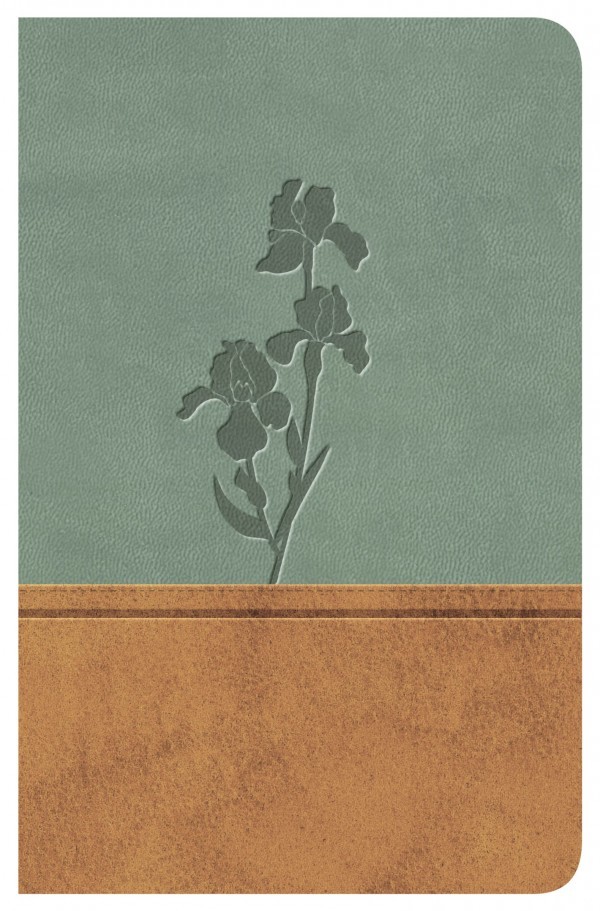 Biblia clásica. Edición especial. 2 tonos. Pardo/menta - RVR77