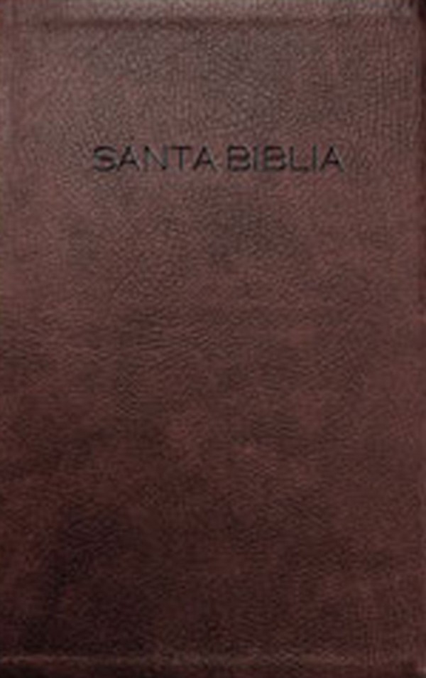 Biblia. Imitación piel. Rojo - NVI