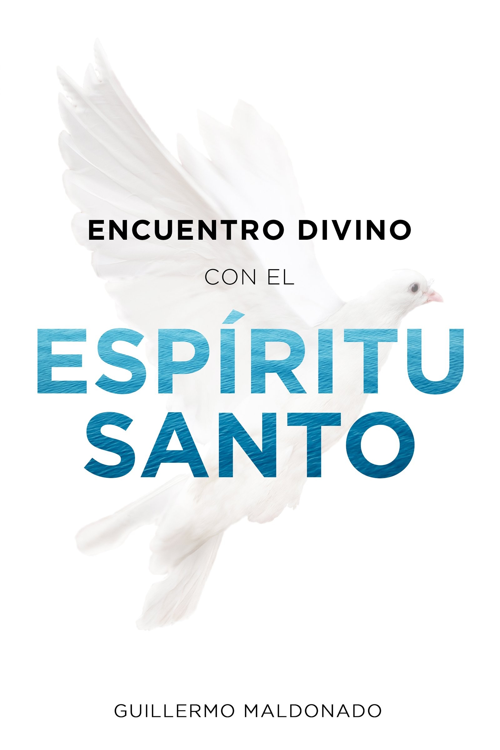 Encuentro divino con el Espíritu Santo