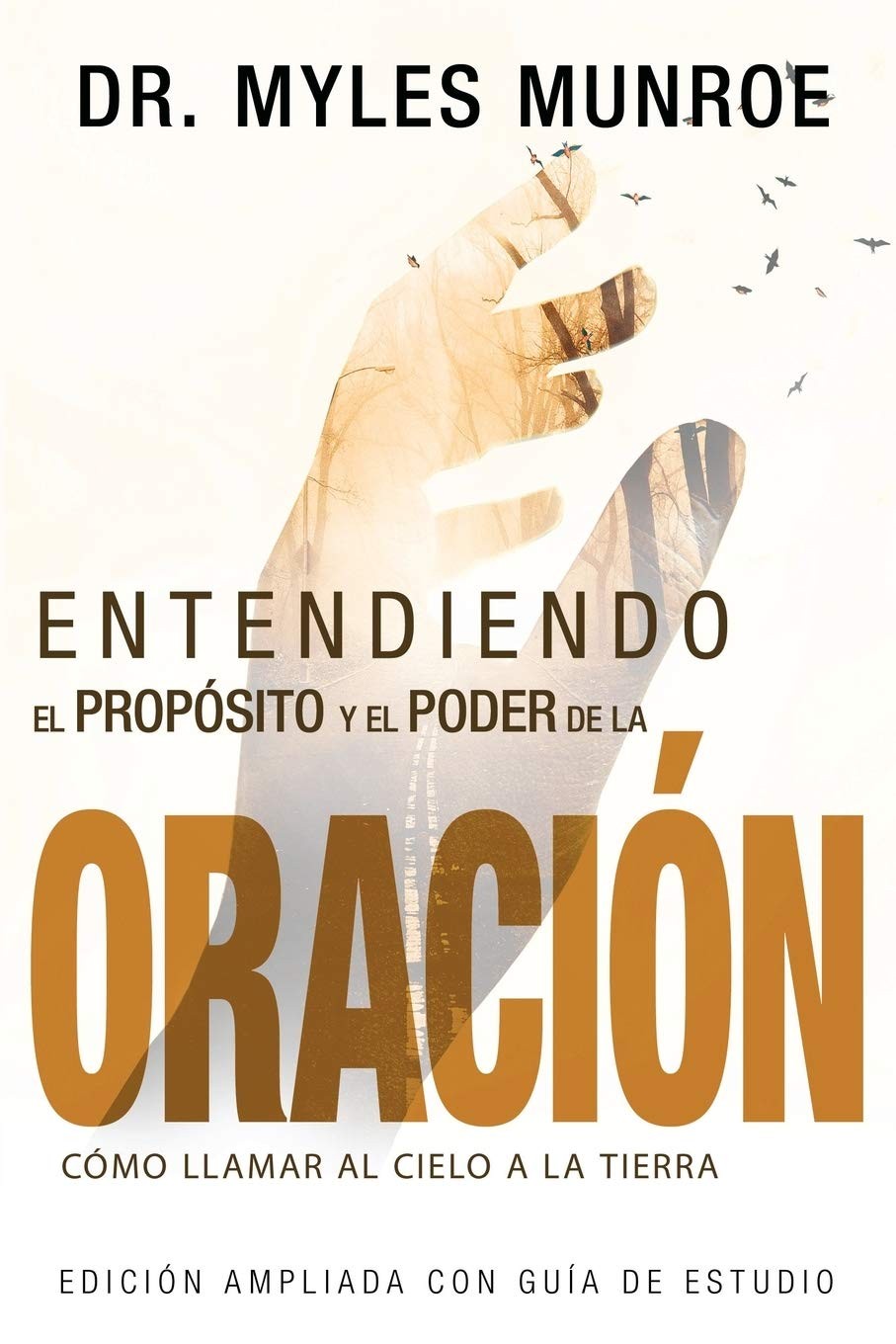 Entendiendo el propósito y el poder de la oración