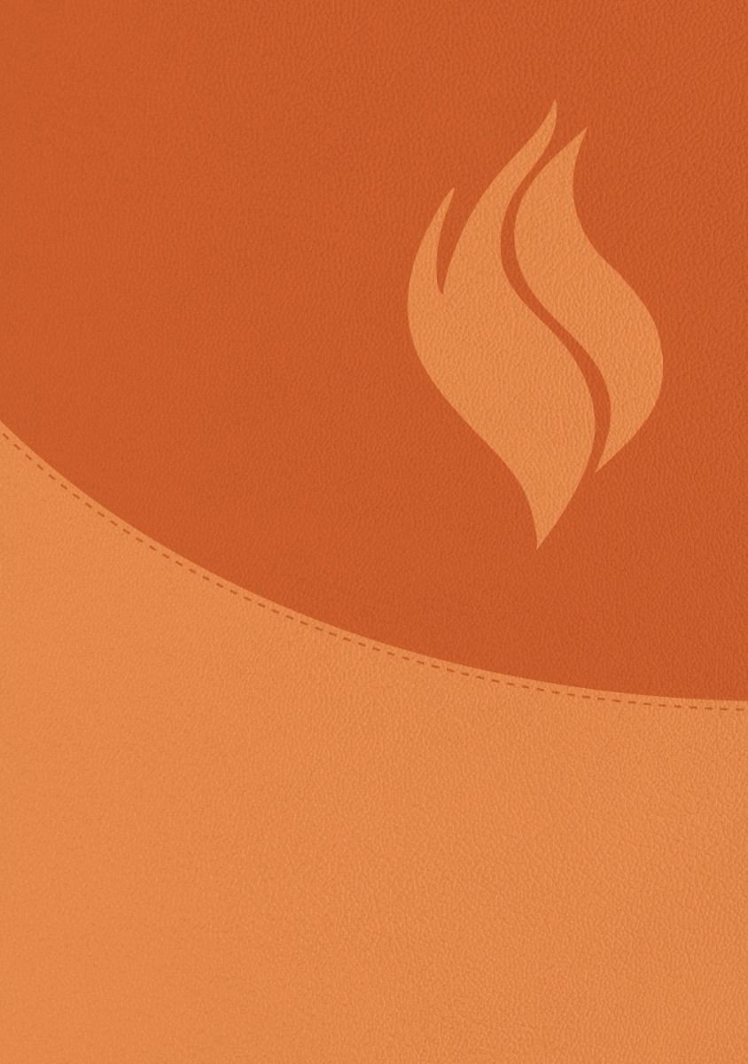 Biblia de estudio vida plena. 2 tonos. Marrón - RVR60