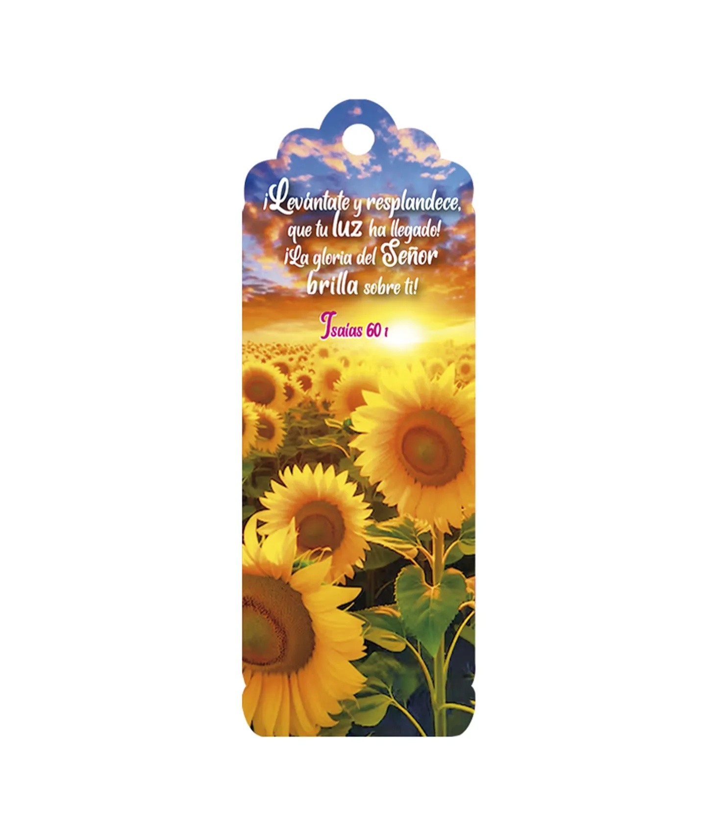 Marcador en 3D para mujer Isaías 60:1 (bilingüe)