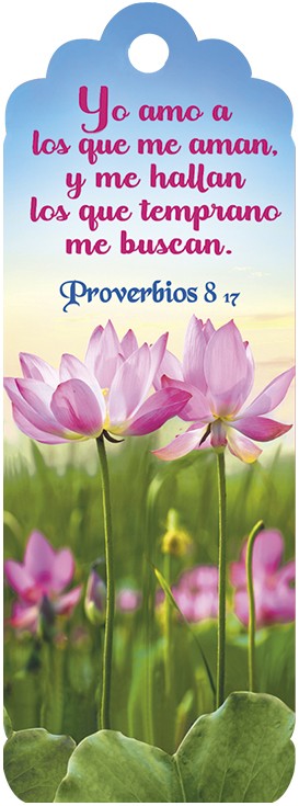 Marcador en 3D para mujer Proverbios 8:17 (bilingüe)