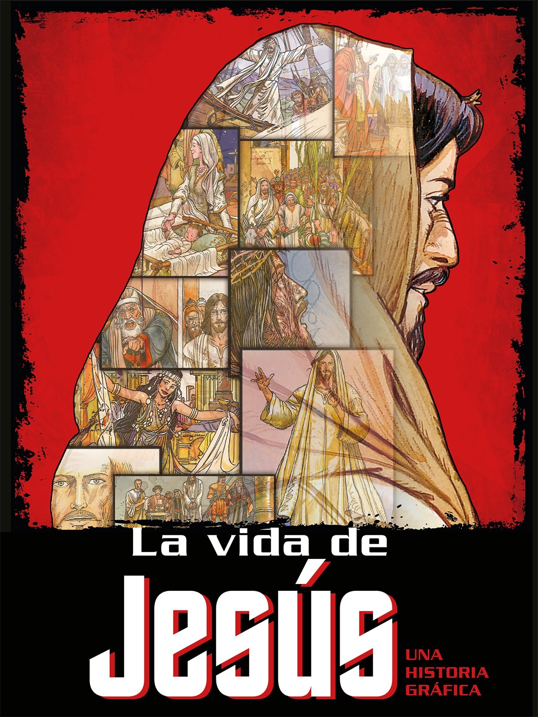 Vida de Jesús, La