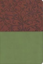 Biblia grande. Letra grande. 2 tonos. Marrón/verde - RVR60