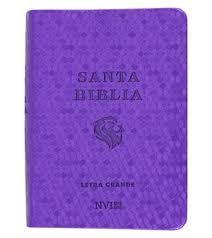 Biblia bolsillo. 2 tonos. Violeta - NVI