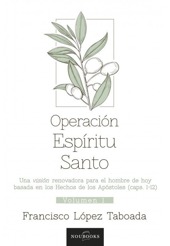 Operación Espiritu Santo