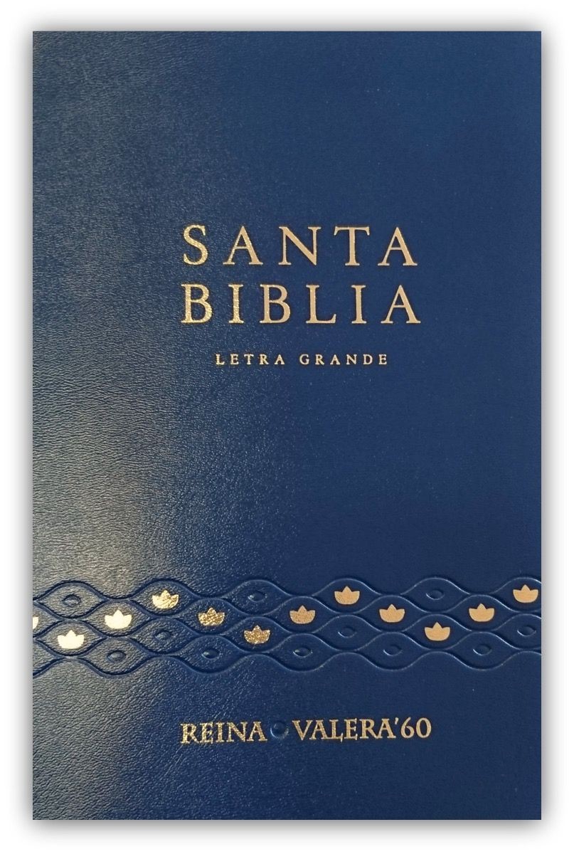 Biblia RVR062cLG. Letra grande. Plástico. Azul - RVR60
