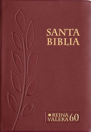 Biblia RVR045cZLG. Letra Gde. Portatil. Piel Ital. Rojo Cremallera