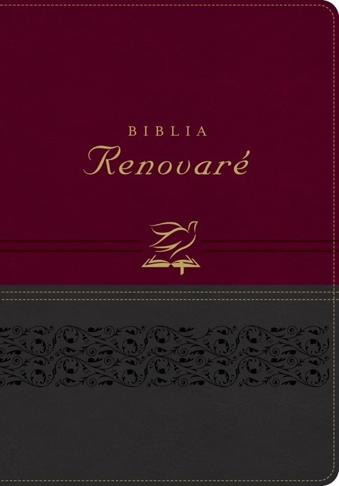 Biblia renovaré. 2 tonos. Rojo/gris. Índice - RVR60