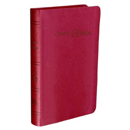 BIBLIA RVA 2015-ROJIZA PIEL EURO.