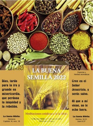 Calendario La Buena Semilla 2022 - Pared