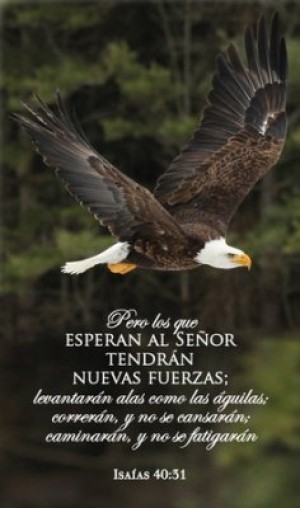 Cuadro madera Isaías 40:31