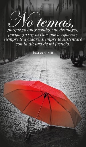 Cuadro madera Isaías 41:10