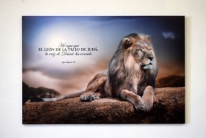 Cuadro canvás León de Judá (Apolcalipsis 5:5)