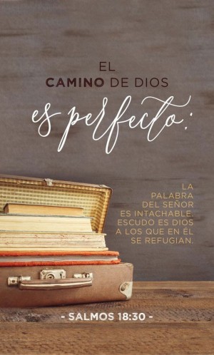 Placa cristal Camino de Dios (Salmo 18:30)