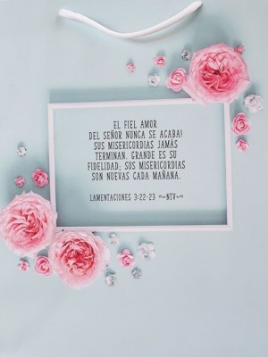 Bolsa de regalo Feliz Cumpleaños (Lamentaciones 3:22-23). Papel