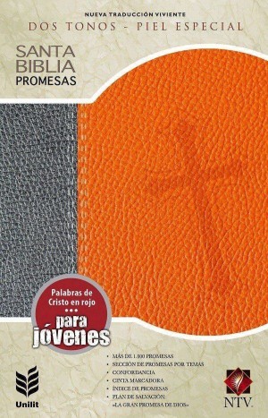 Biblia de promesas. Edición juvenil. 2 tonos. Naranja/gris - NTV