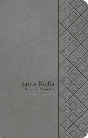 Biblia de promesas. Manual. Letra grande. 2 tonos. Gris - RVR60