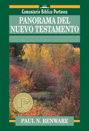 Panorama del Nuevo Testamento