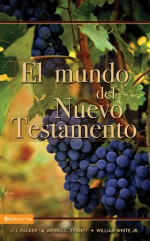 Mundo del Nuevo Testamento, El