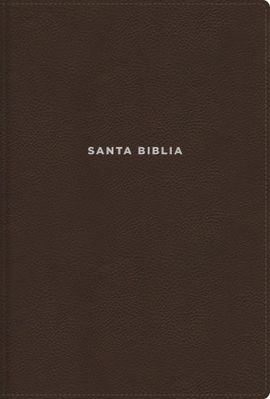 Biblia de estudio NVI. Letra grande. Imitación piel. Café - NVI, 2022