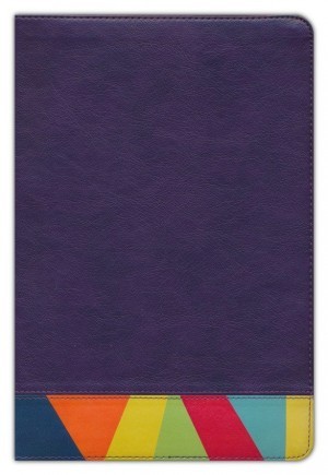 Biblia de estudio arco iris. 2 tonos. Morado/multicolor - RVR60