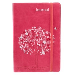 Diario Efesios 3:17. 2 tonos. Rosa