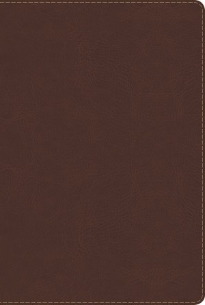 RVR 1960 Biblia de Estudio Arco Iris, chocolate símil piel