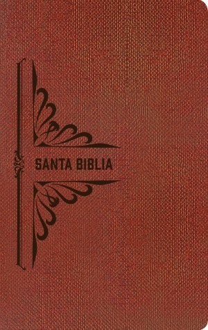 Biblia. 2 tonos. Ladrillo. Cremallera - NTV