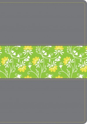 Biblia del diario vivir. 2 tonos. Gris/verde. Índice - NTV