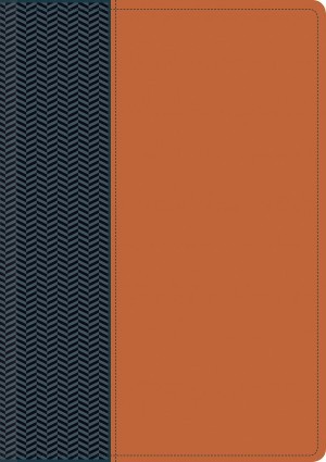 Biblia del diario vivir. 2 tonos. Azul/marrón. Índice - NTV