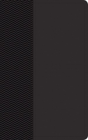 Biblia del diario vivir. Manual. 2 tonos. Negro - NTV
