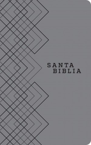 Biblia Ágape. Manual. 2 tonos. Gris - NTV