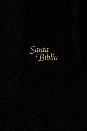 Biblia manual. Letra grande. Tapa dura. Negro. Índice - NTV