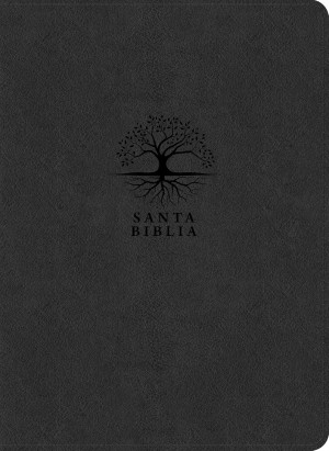 Biblia del diario vivir. Letra grande. Imitación piel. Carbón - RVR60