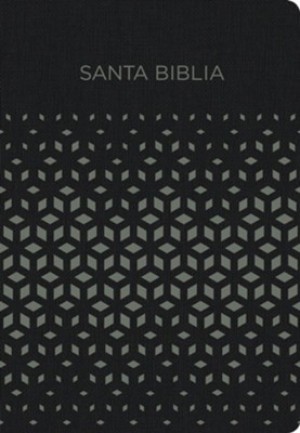 Biblia de regalos y premios. 2 tonos. Negro/plata - NVI