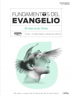 Fundamentos del Evangelio. Vol. 6 - Hechos-Apocalipsis: El Reino en la tierra