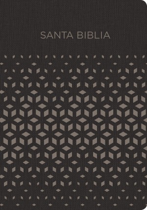 Biblia de regalos y premios. 2 tonos. Negro/plateado - RVR60