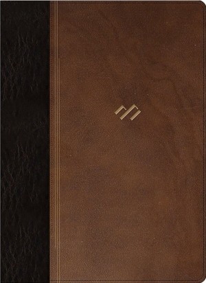 Biblia temática de estudio. Piel especial. Marrón - RVR60