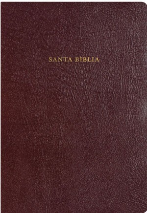 RVR 1960 Biblia de Estudio Arco Iris, borgoña piel fabricada